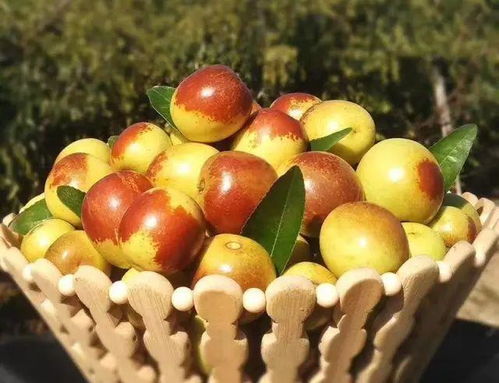 說(shuō)好一起慢慢變老,你卻偷吃了渭北的冬棗